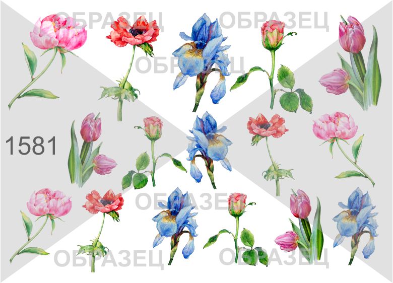 1581 Слайдер для ногтей. Цветы Весна Тюльпаны