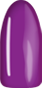 Фиолетовые и сиреневые 
